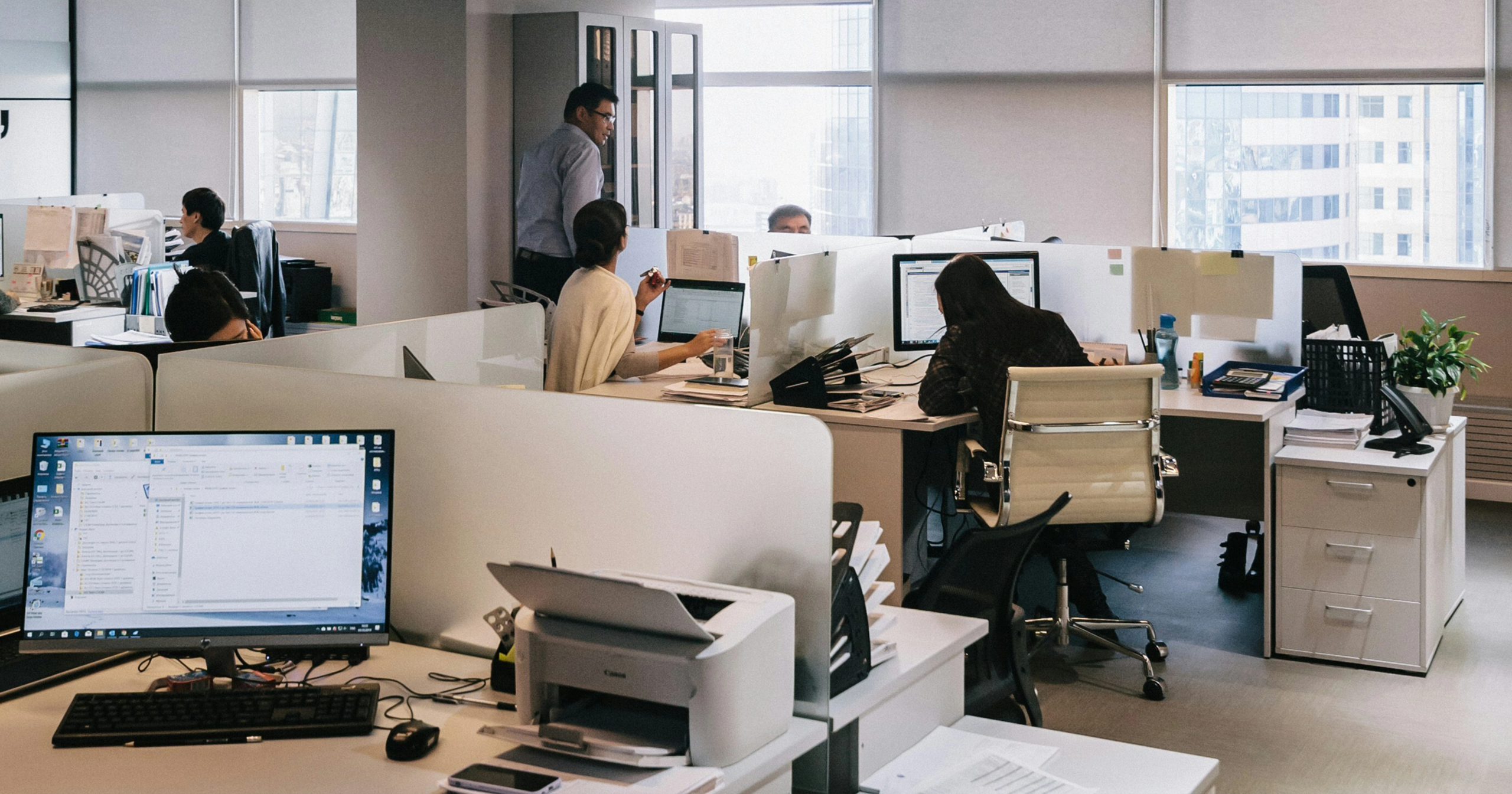 People working in cubicles